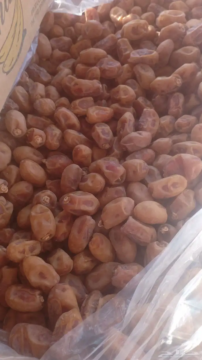 جديد تمر خلاص 0