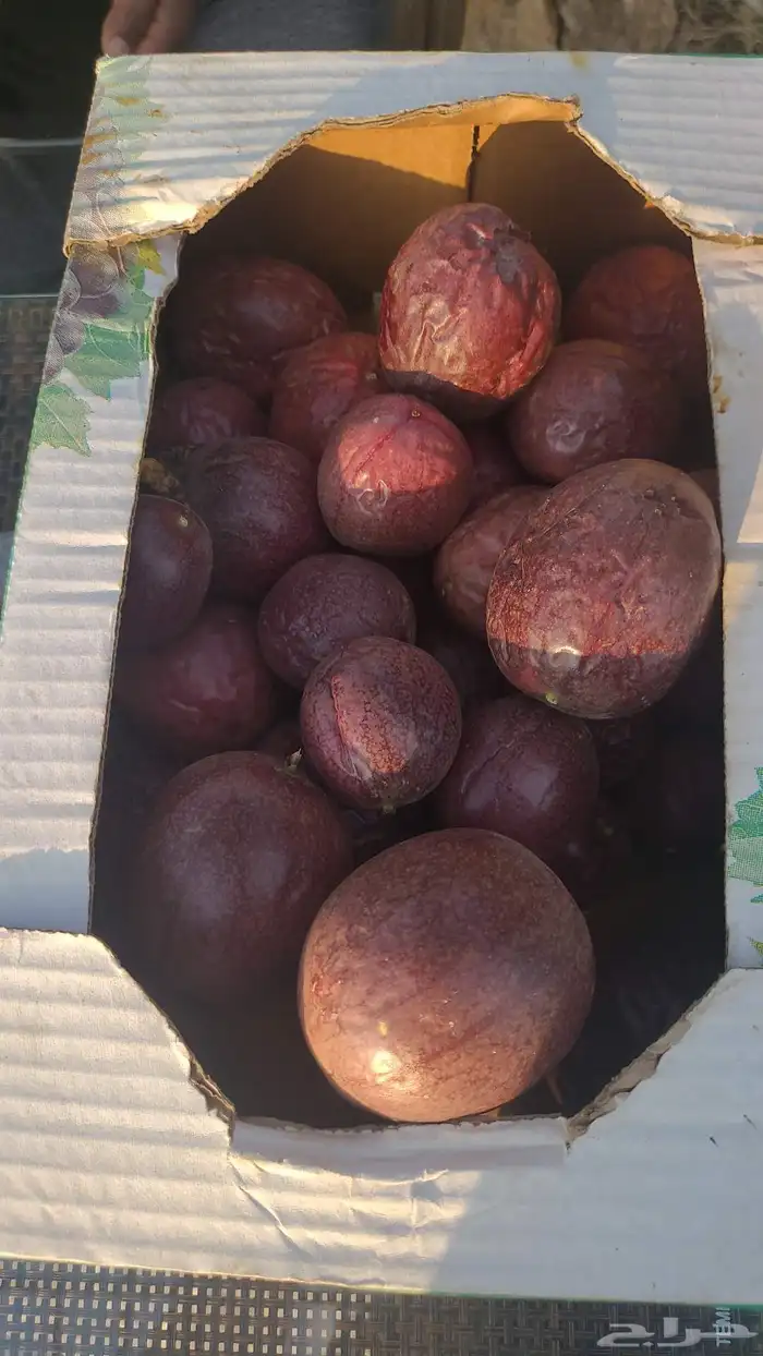 فاكهة الباشن فروت . 0