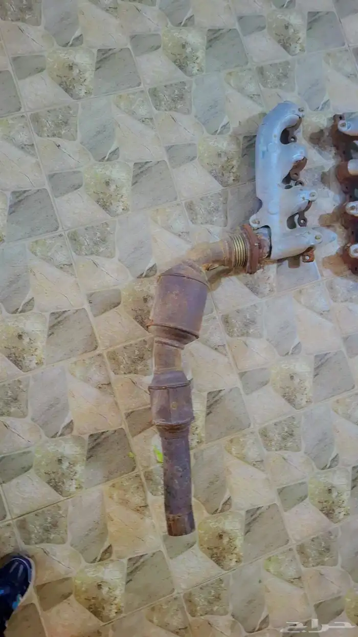 قزوز مفرغ 2