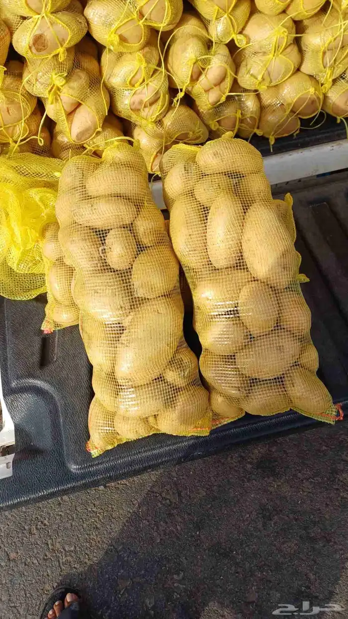 متوفر رمان بصل بطاطس 0