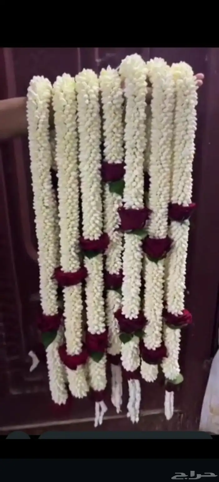 جيزان  ترند  فل_صبيا  عضايه_تساريح_تسريحه_فل_ولبه  عضايه_تس 6