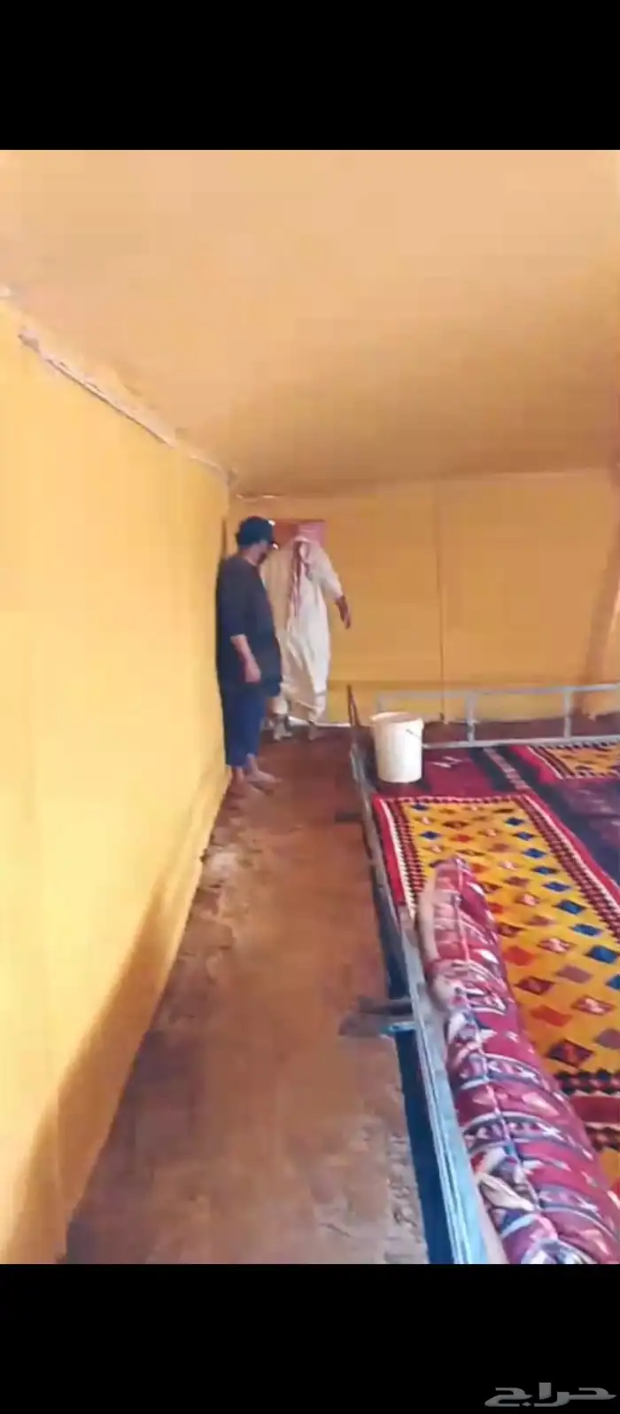لدينا خيام وبيوت شعرابيض وفرشات ومشبات ودورات مياه ومسلزمات 1