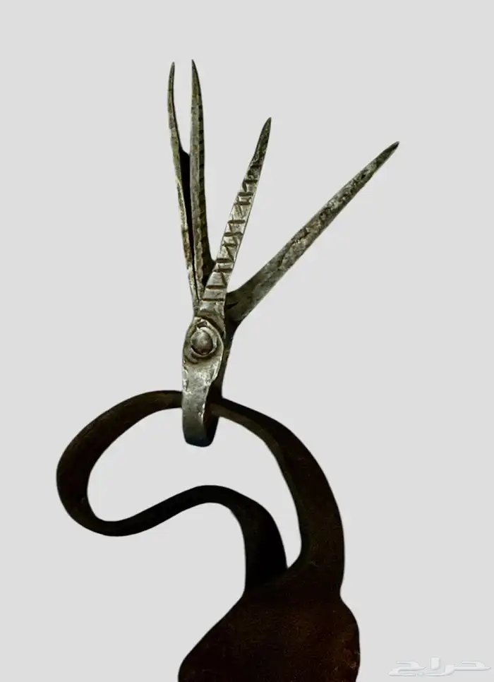 عملات سعودية نادرة وقديمة 14