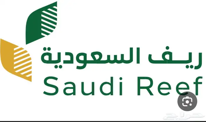 تقديم الزراعة أراضي البعلية 0