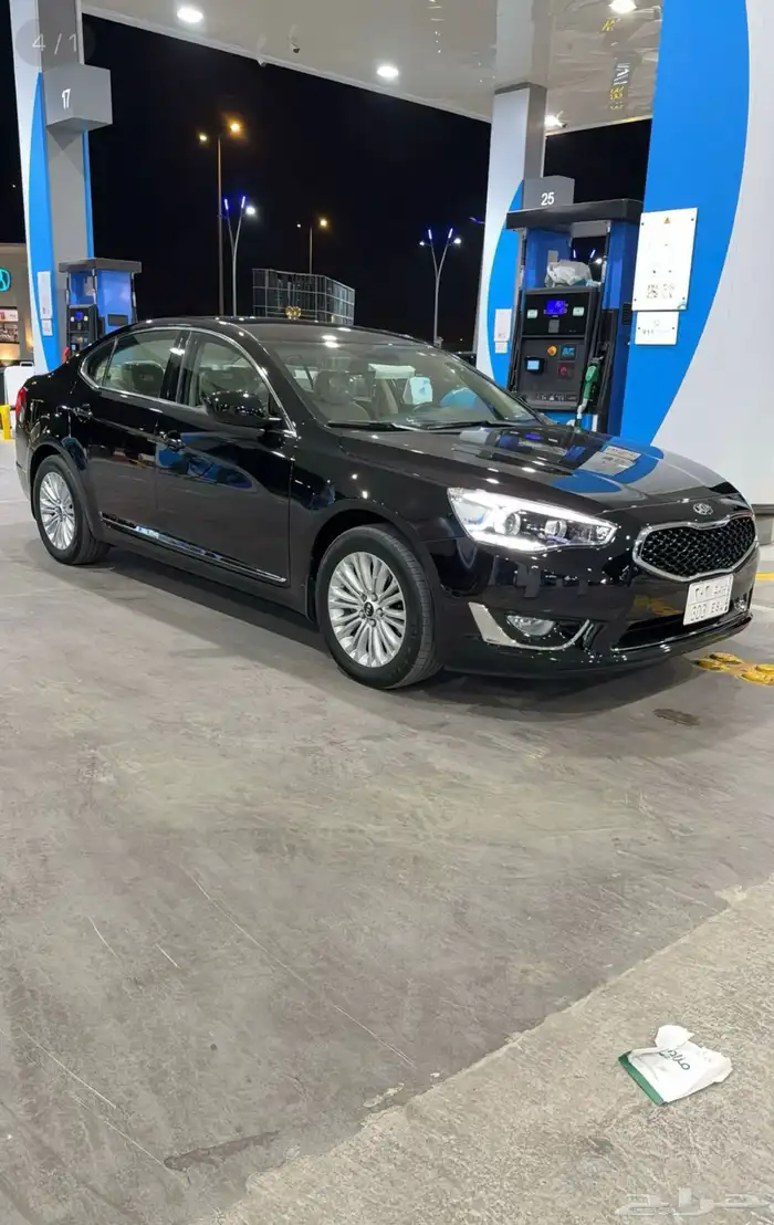 كادينزا 2016 ممطلوب 0