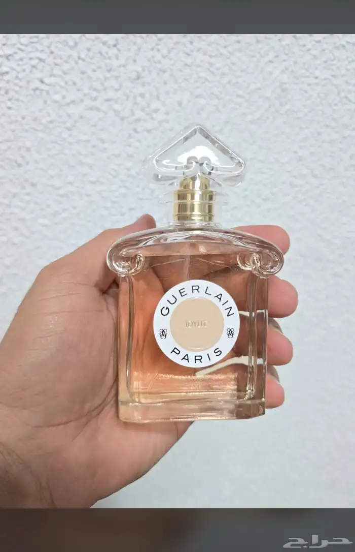 نوفر جميع انواع العطور باسعار الجملة اي عطر تبغاه يوصلك الى 72