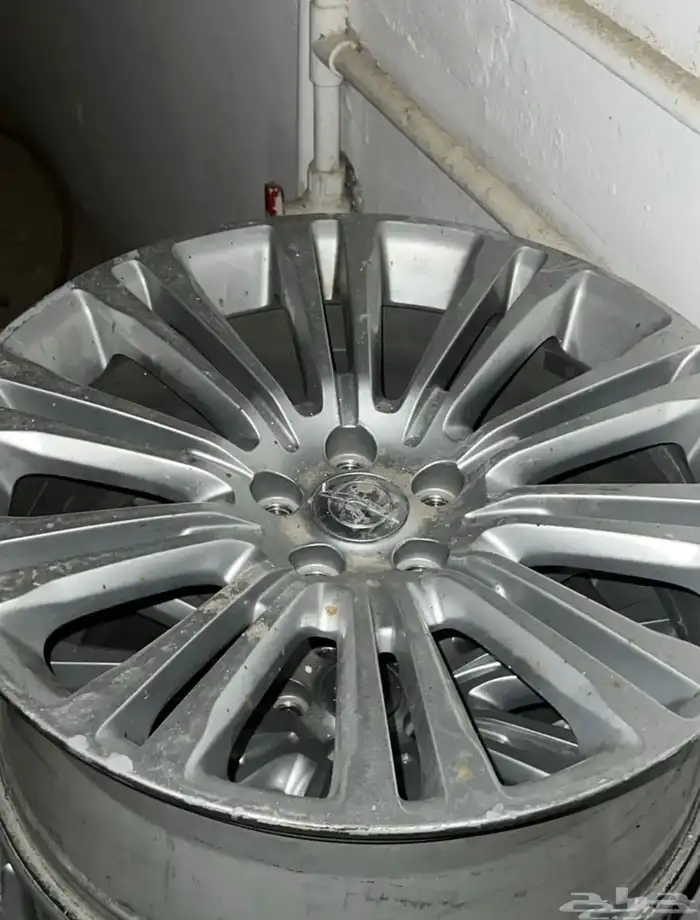 جنوط كلايزلر 2014 1