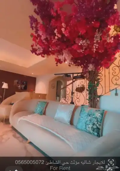 فيلا للايجار مؤثثه حي الشاطئ Rent villah index