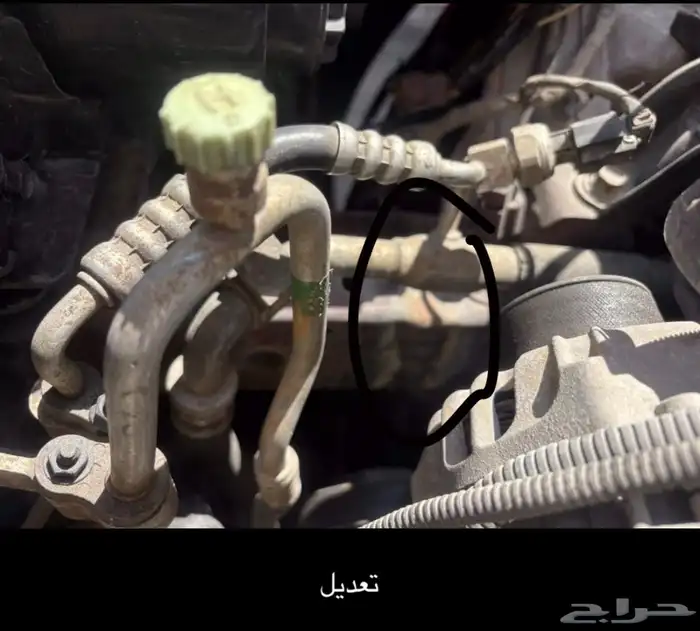 النترا 2013 23