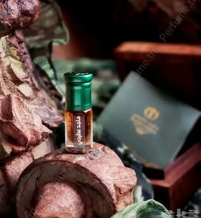 مخلط سعودي 95 من ماجد عطرجي 0