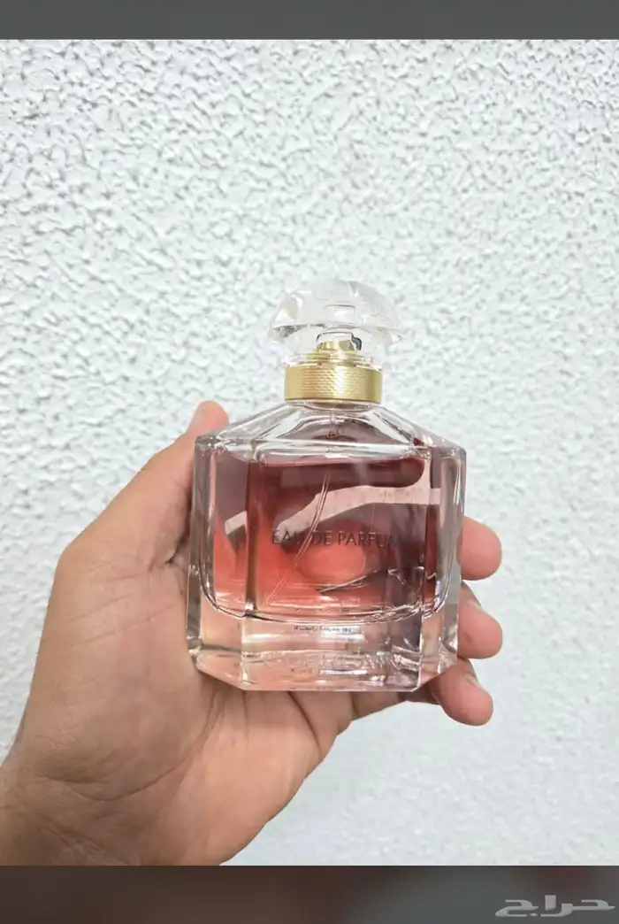 نوفر جميع انواع العطور باسعار الجملة اي عطر تبغاه يوصلك الى 63