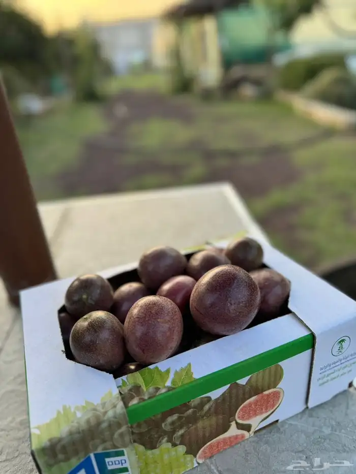 فاكهة الباشن فروت . 2