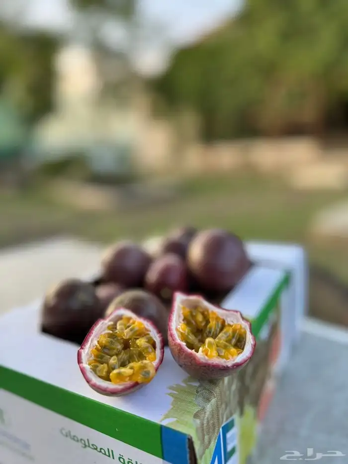 فاكهة الباشن فروت . 1