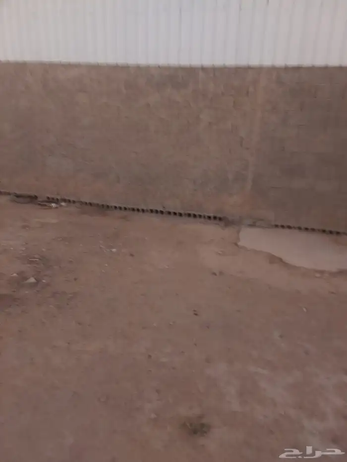 ورشة للتنازل 4