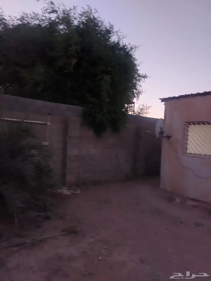 ورشة للتنازل 2