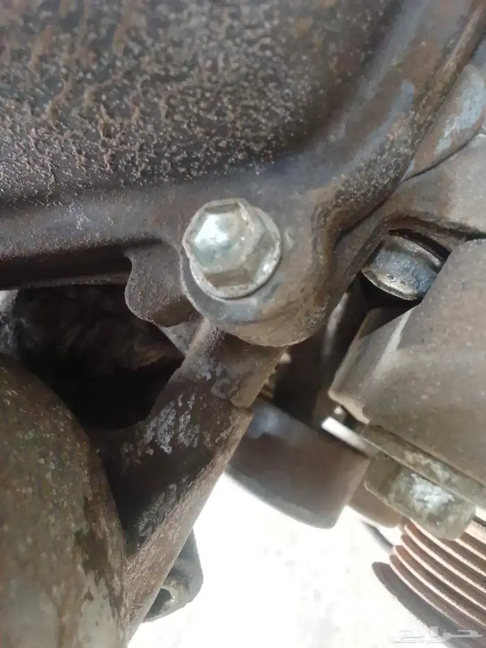 مكينه شاص وكاله على الشرط مسمار ما افتك شد بلاد واسعار زينه 1