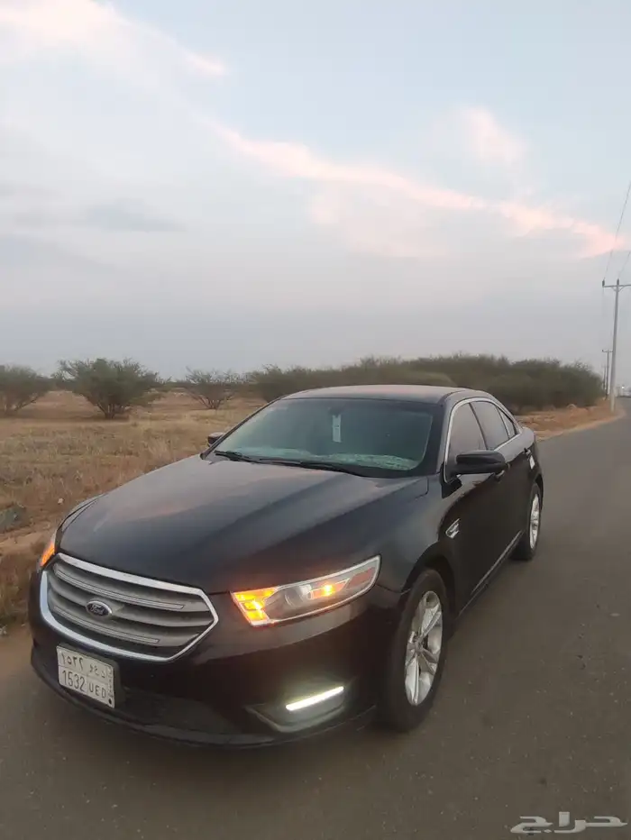 توريس 2013 5