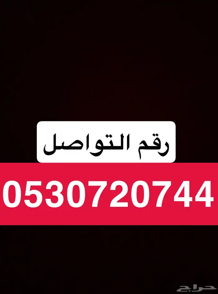 ببغاء كاسكو اسطورة بالكلام 13