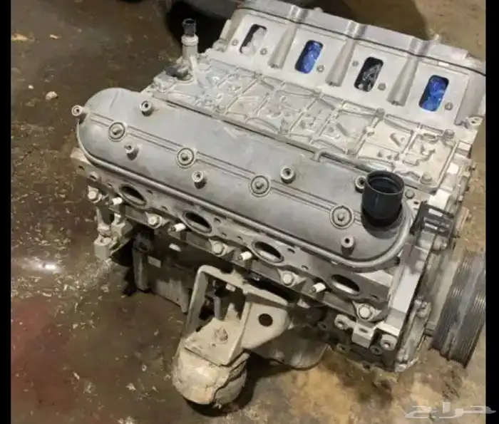 مكاين كابرس ضمان سنه 2