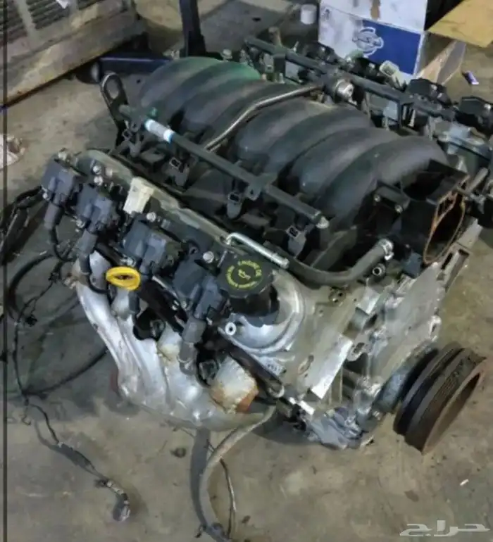 مكاين كابرس ضمان سنه 1