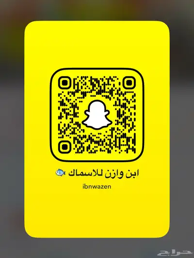 اسماك طازجه ثول   جدة index