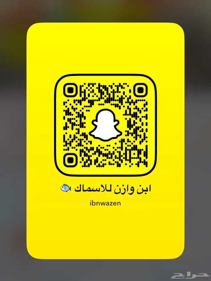 اسماك طازجه ثول   جدة 7