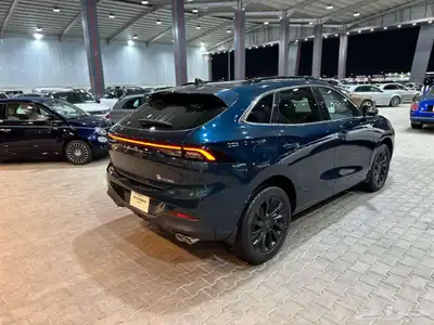 فورثنج 2023 و 2022 تصفيات بسعر ممتاز index