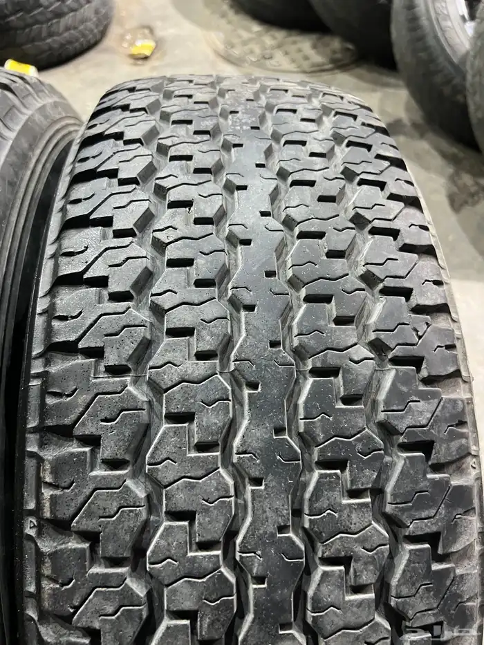 جنوط  سمبوسة فيراني مع كفرات دنلوب بالصور تاريخ 23 21