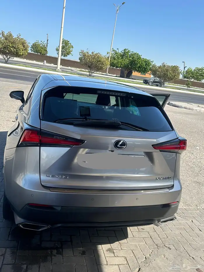 لكزس NX 300 2020 0