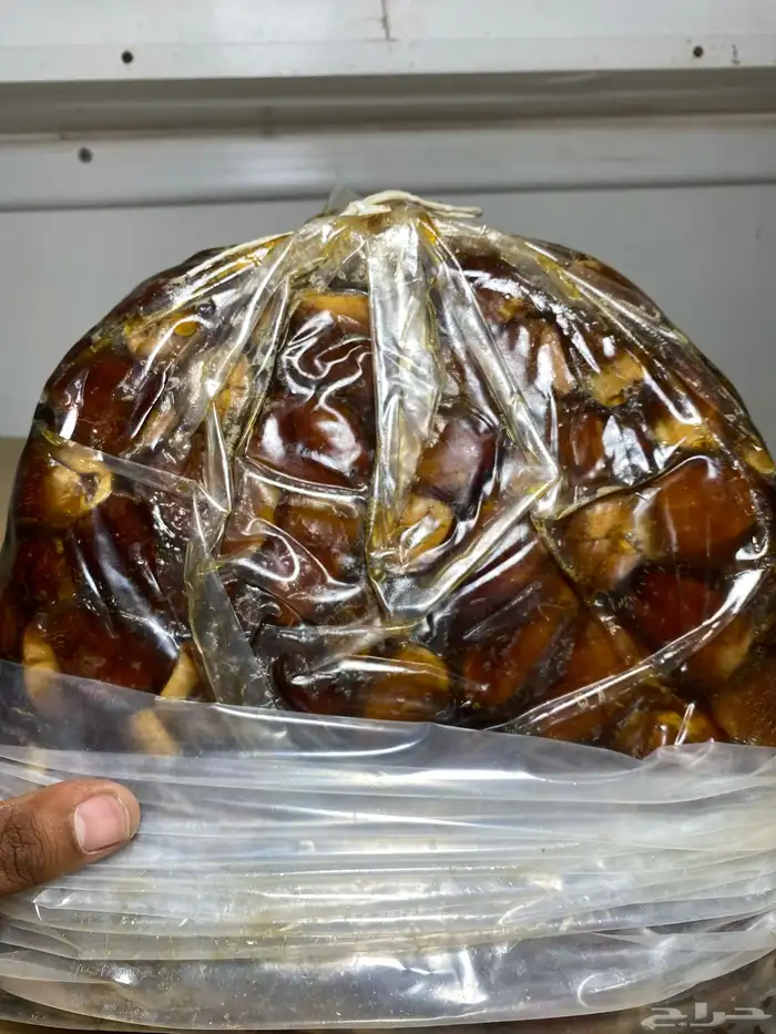 تمر أم الكبار 3