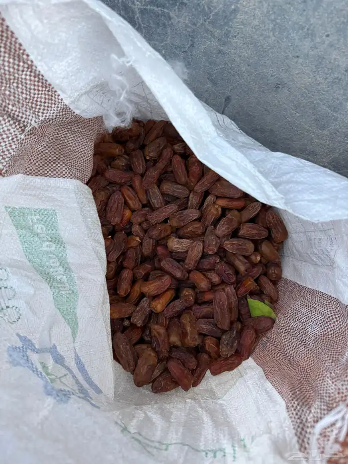 تمر حشف للبيع حق حلال 0