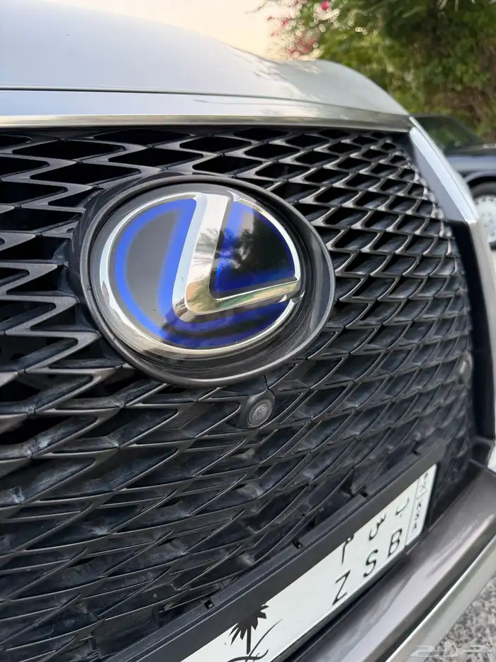 لكزس 2019 RXh450 9