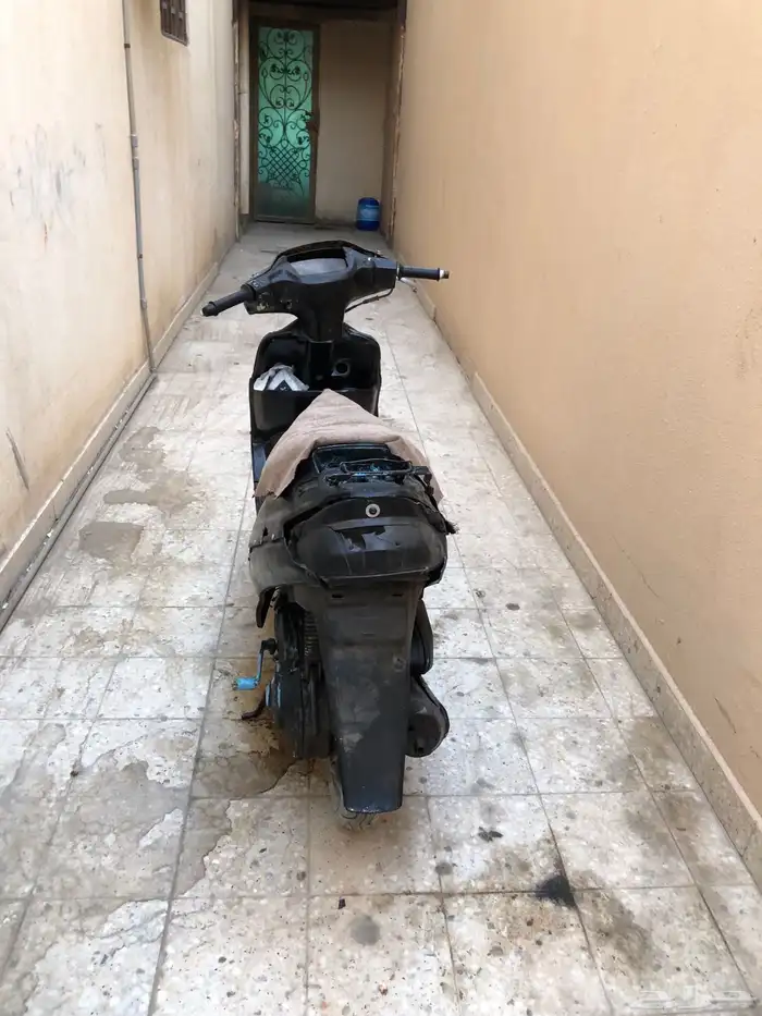 دباب بطة 1