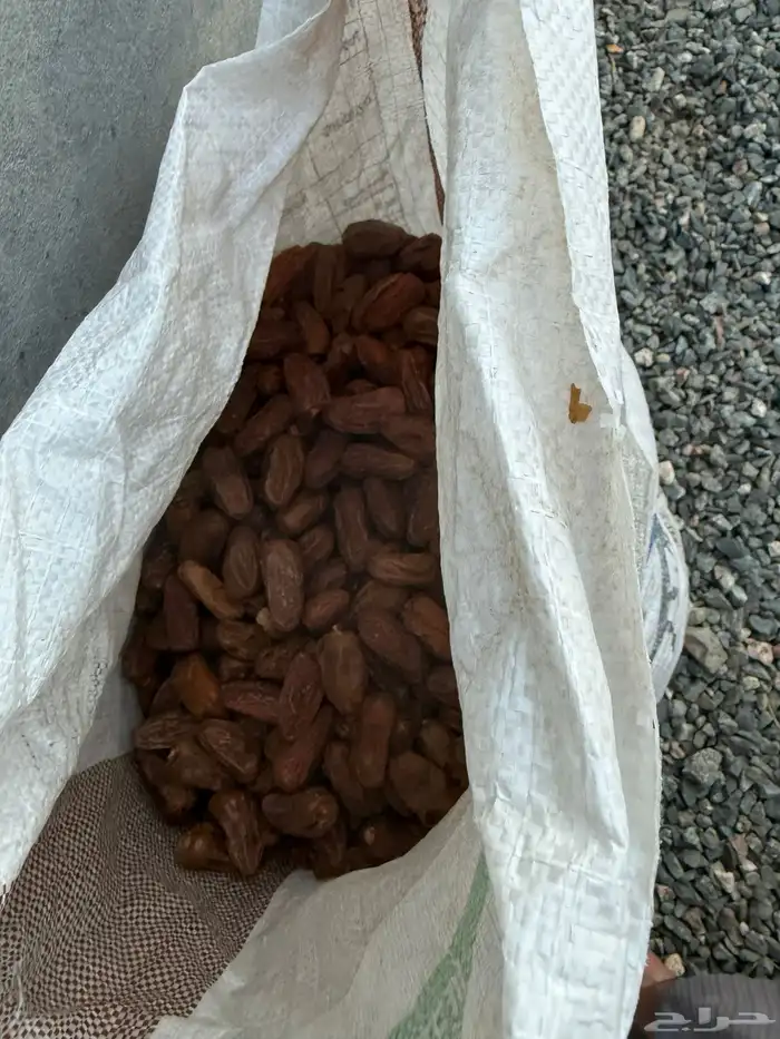 تمر حشف للبيع حق حلال 1
