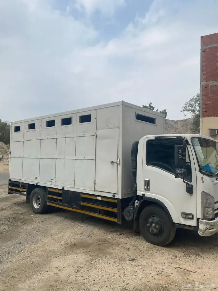 دينه نقل خيل 3