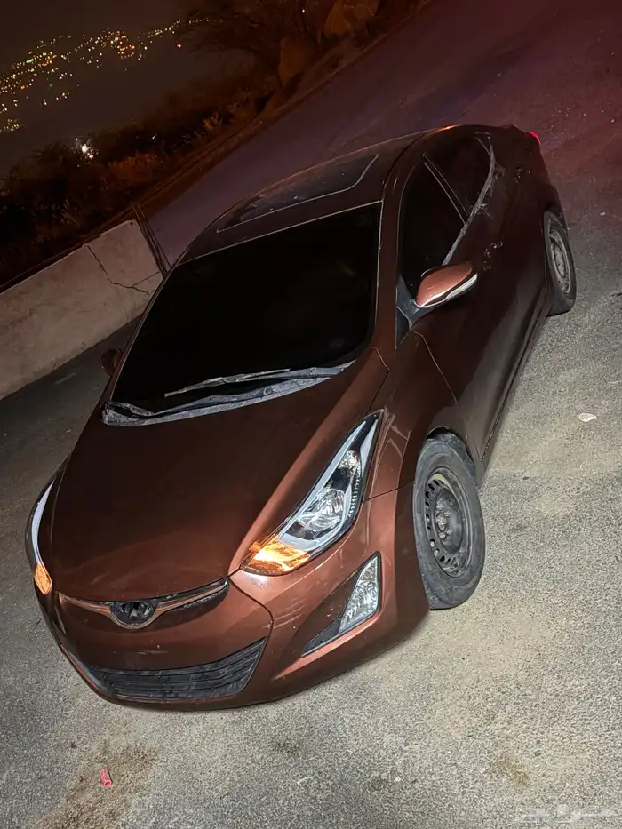 النترا 2013 20