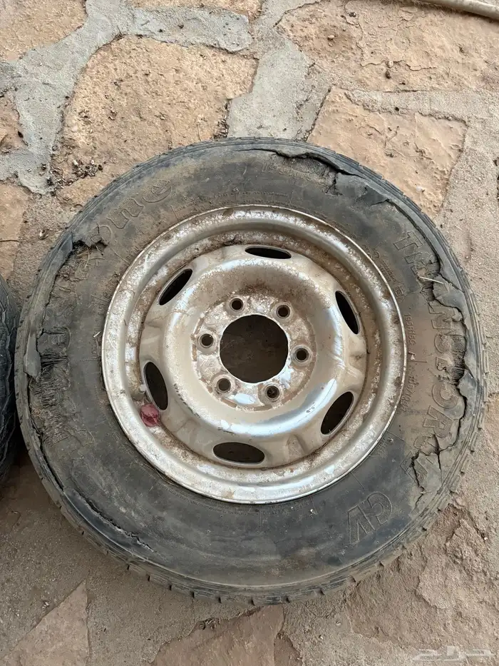 جنوط ددسن 1