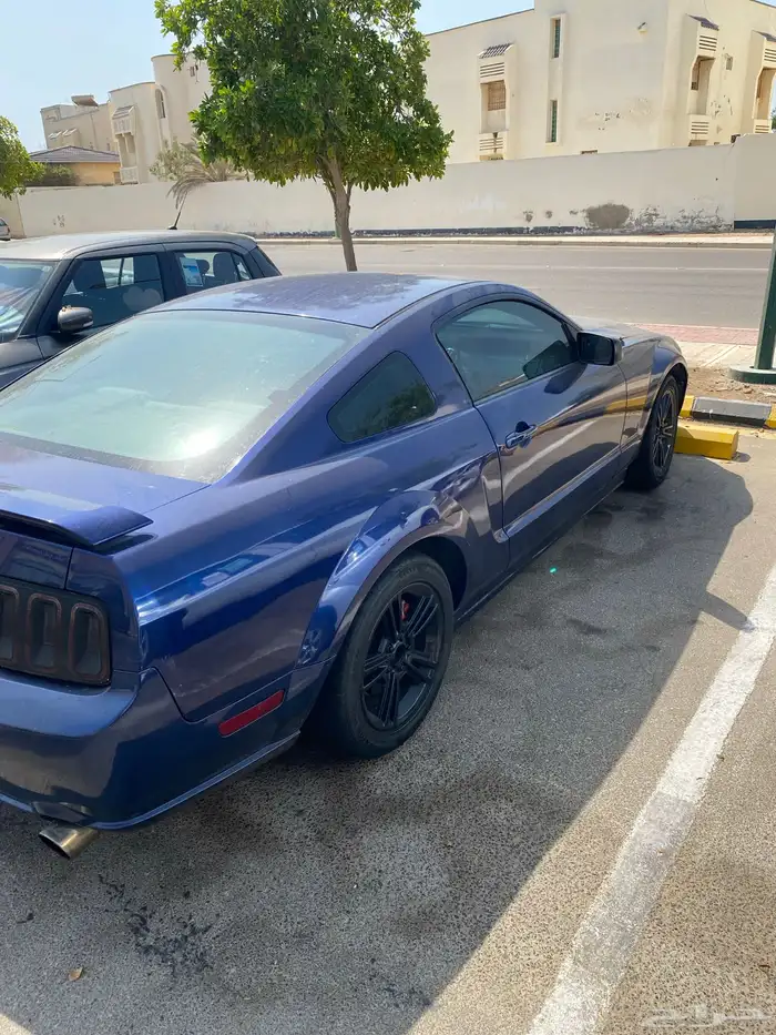 موستنق 2006 3