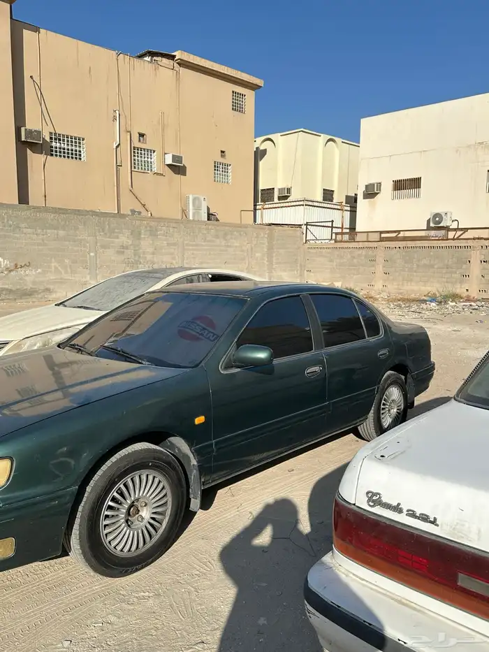 مكسيما 1999 1