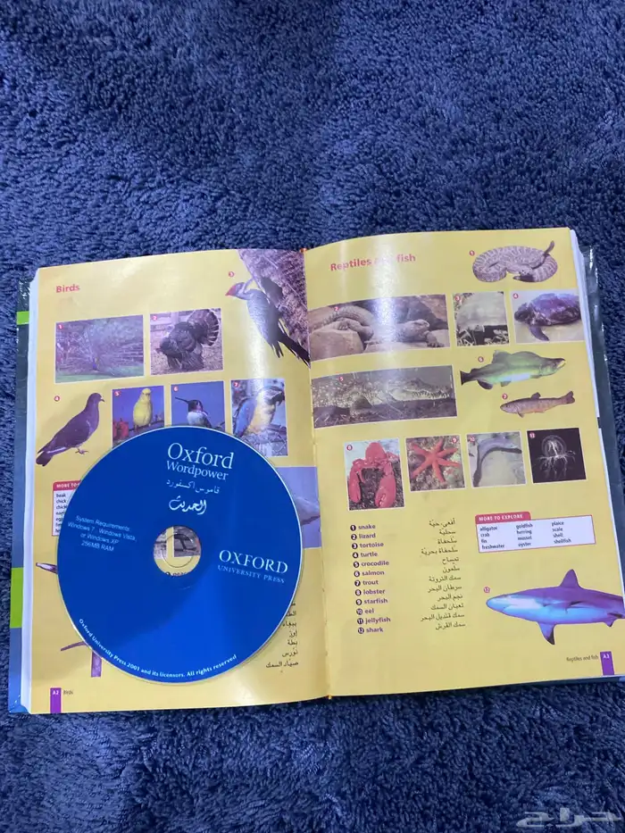 كتاب إنجليزي 1