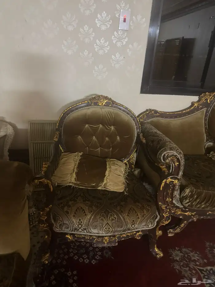 كنب زيتي اخضر للبيع 3