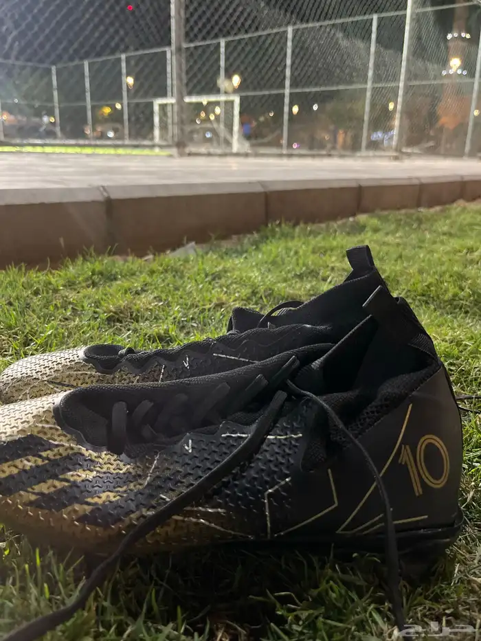 حذاء رياضي بتصميم فاخر رقم 10 0