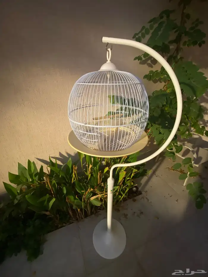 قفص طيور زينة مع قاعدة 0