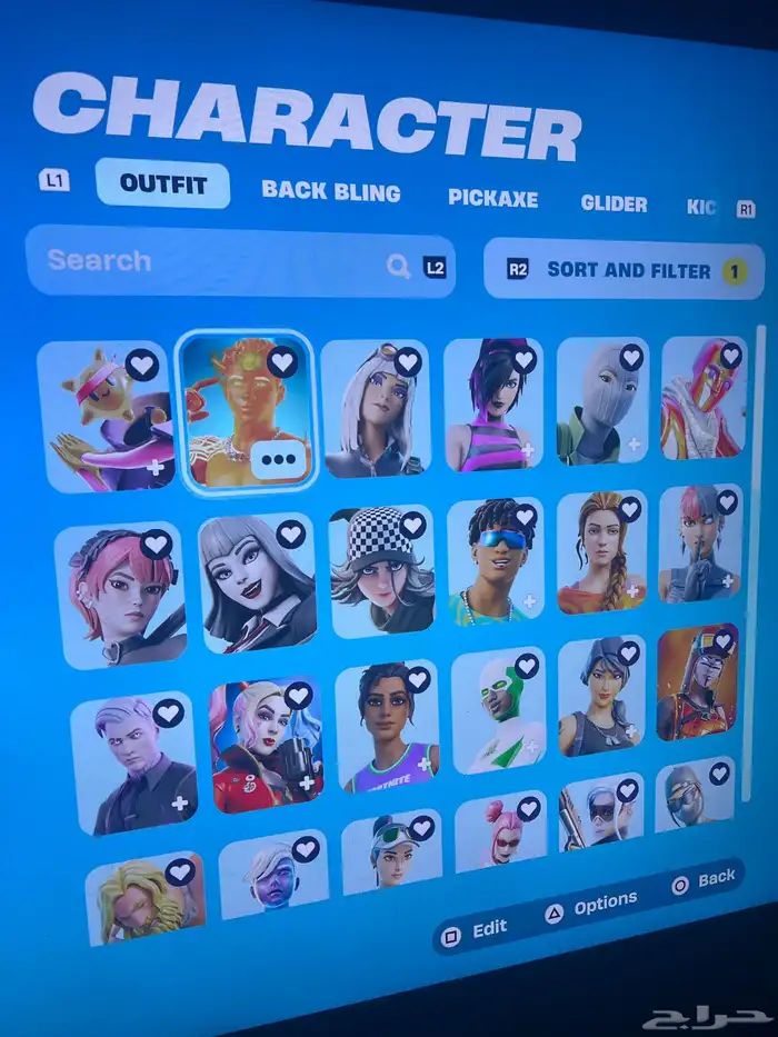 اقوى وارخص حساب فورت 1