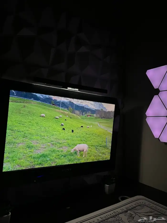 شاشه ما ادري كم البوصات وذي الأشياء 1