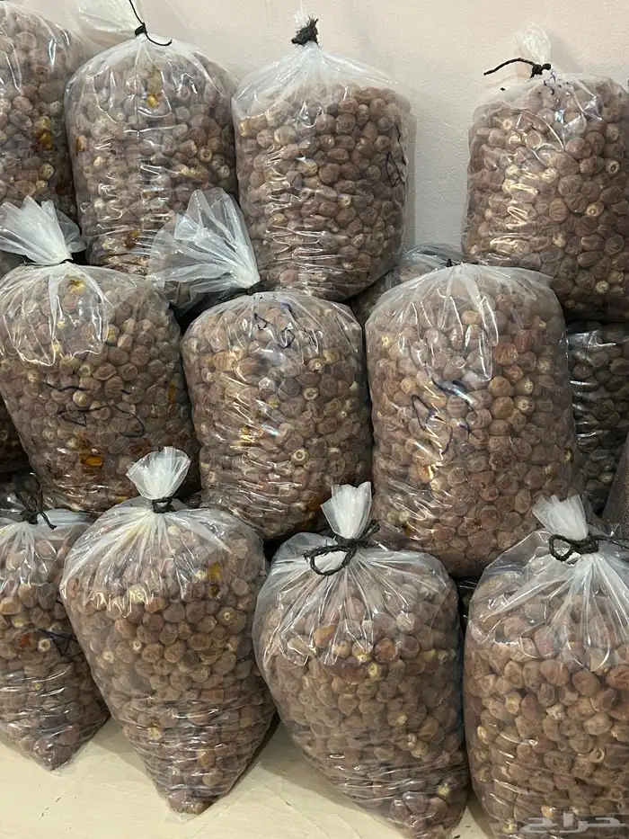 تمر برحي 1