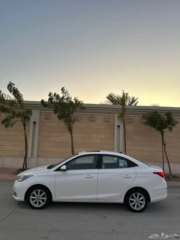شانجان السفن وارد المجدوعي 2023 30