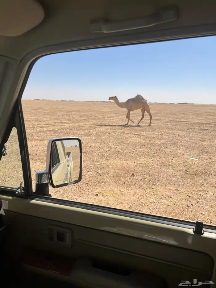 الموقع حفر الباطن طريق الشمال تقريبآ 17كم على اليسار 7