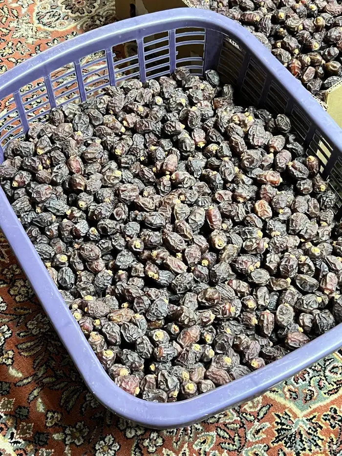 تمر رزيز اسود ( للسفسيف ) و دبس خلاص 2