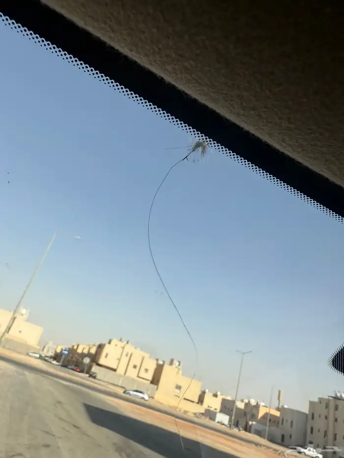 بيجاس 2023 ممشى 90 وكسور الموتر نضيف الحد 33 التواصل واتس 5